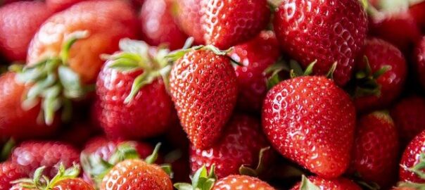 Erdbeeren pflücken in Stetten