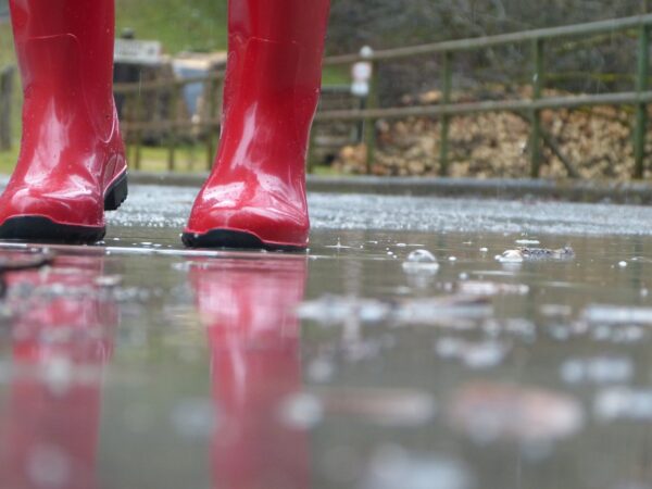Regenwetter? Kein Grund für Langeweile!